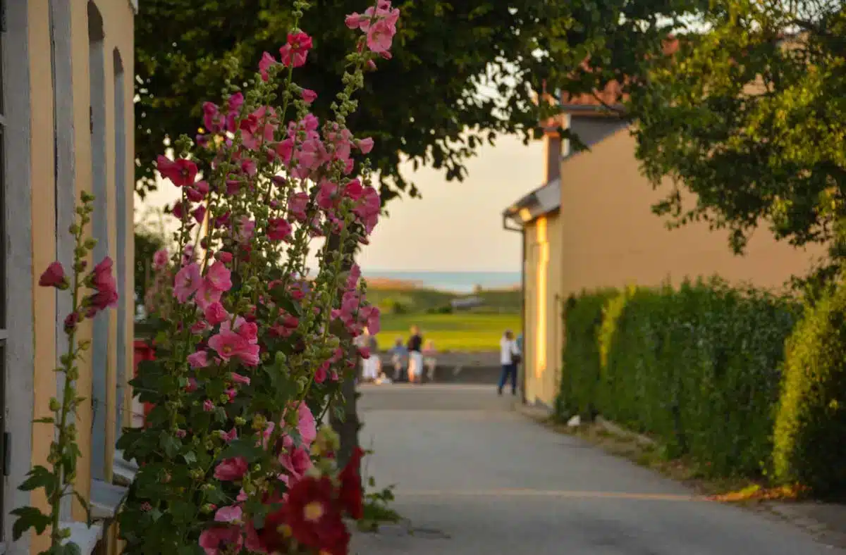 Hyggelig gade i Sæby i Nordjylland
