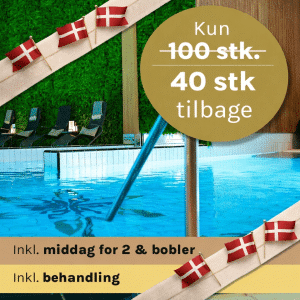 Wellnessophold for 2 - 1 nat