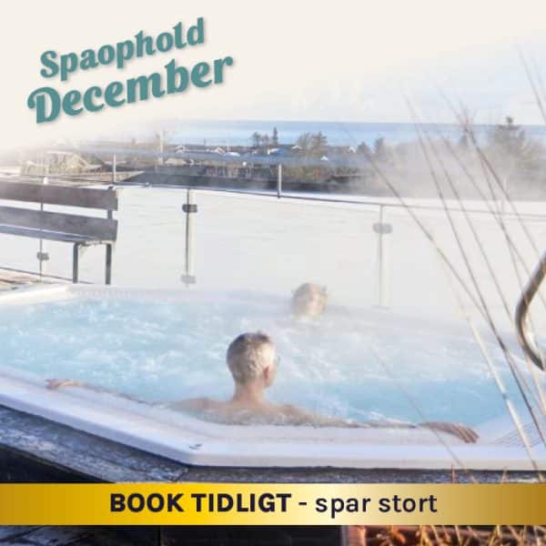 Spaophold for 2 - December