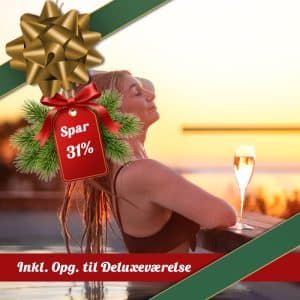 Spa Getaway for 2 - 1  ½ dag