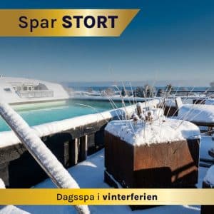 Dagsoplevelse i vinterferien