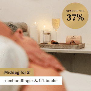 Wellnessophold