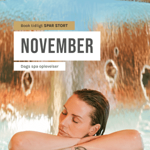 NOVEMBER - Dagspa efterårstilbud